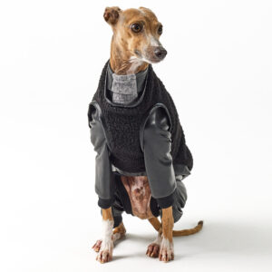 Italian Greyhound Clothing Full Suit for Balmain