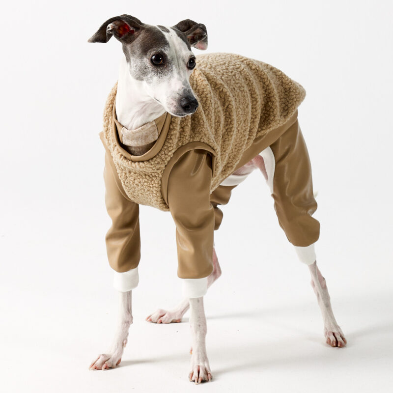 Italian Greyhound Clothing Full Suit for Balmain Taupe