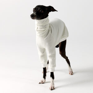 Italian Greyhound Clothing | Royal Hound