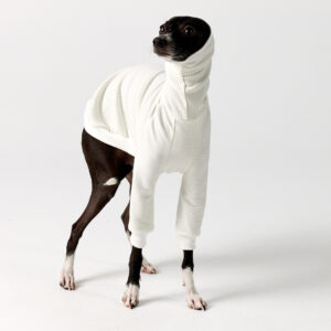 Italian Greyhound Clothing | Royal Hound