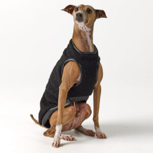 Italian Greyhound Clothing - Teddy vest Black