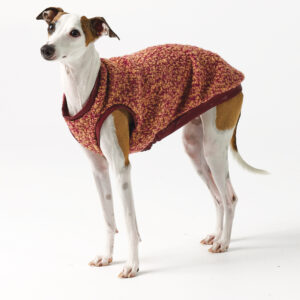 Italian Greyhound Clothing - Teddy vest Crimson