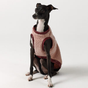 Italian Greyhound Clothing - Teddy vest Pink