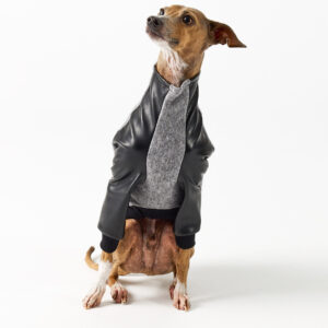 Italian Greyhound Clothing - Faux Leather Half Suit