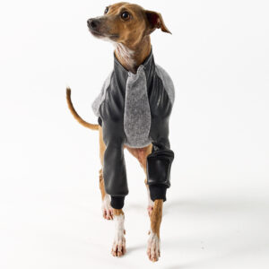 Italian Greyhound Clothing - Faux Leather Half Suit