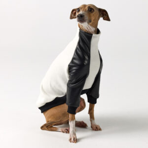 Italian Greyhound Clothing - Faux Leather Half Suit