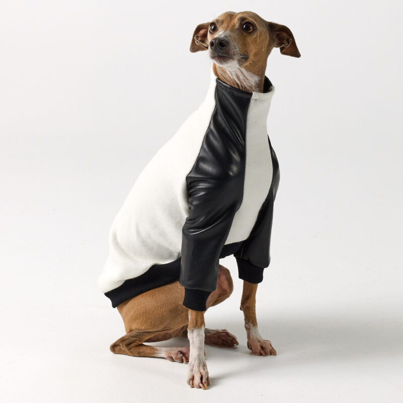 Italian Greyhound Clothing - Faux Leather Half Suit