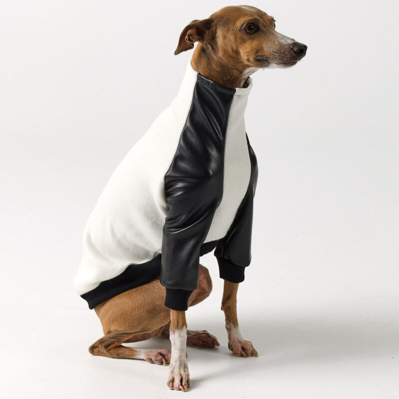 Italian Greyhound Clothing - Faux Leather Half Suit