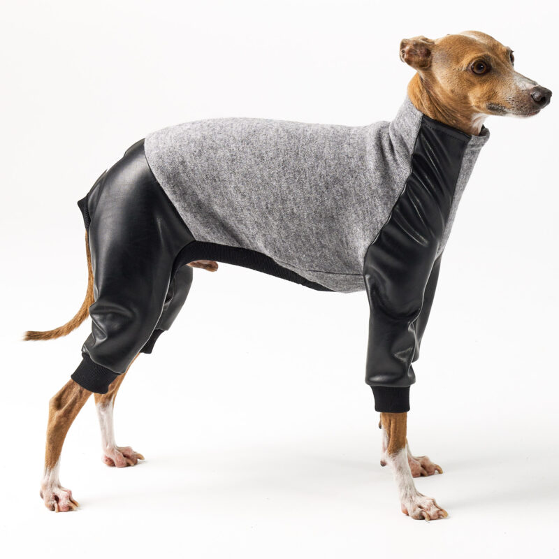 Italian Greyhound and Whippet Clothing - Faux Leather Full Suit