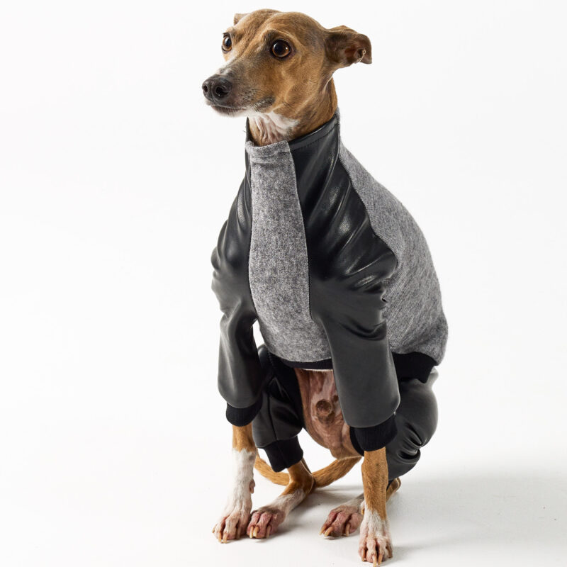 Italian Greyhound and Whippet Clothing - Faux Leather Full Suit