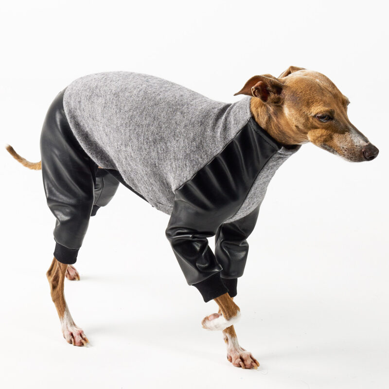 Italian Greyhound and Whippet Clothing - Faux Leather Full Suit