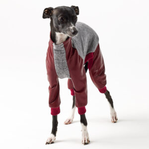 Italian Greyhound and Whippet Clothing - Faux Leather Full Suit