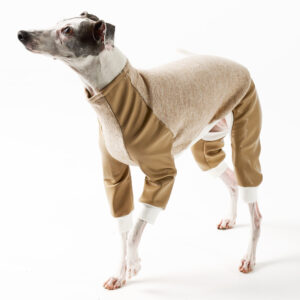 Italian Greyhound and Whippet Clothing - Faux Leather Full Suit