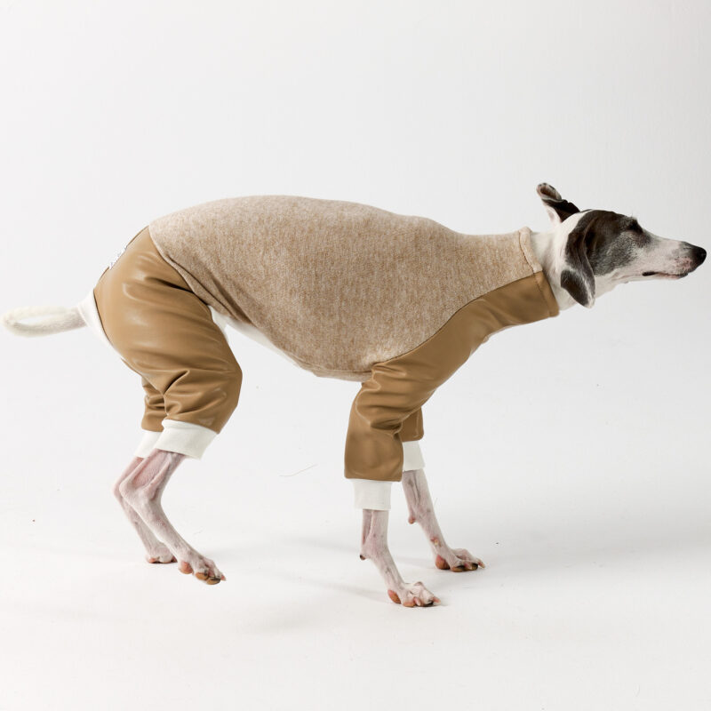 Italian Greyhound and Whippet Clothing - Faux Leather Full Suit