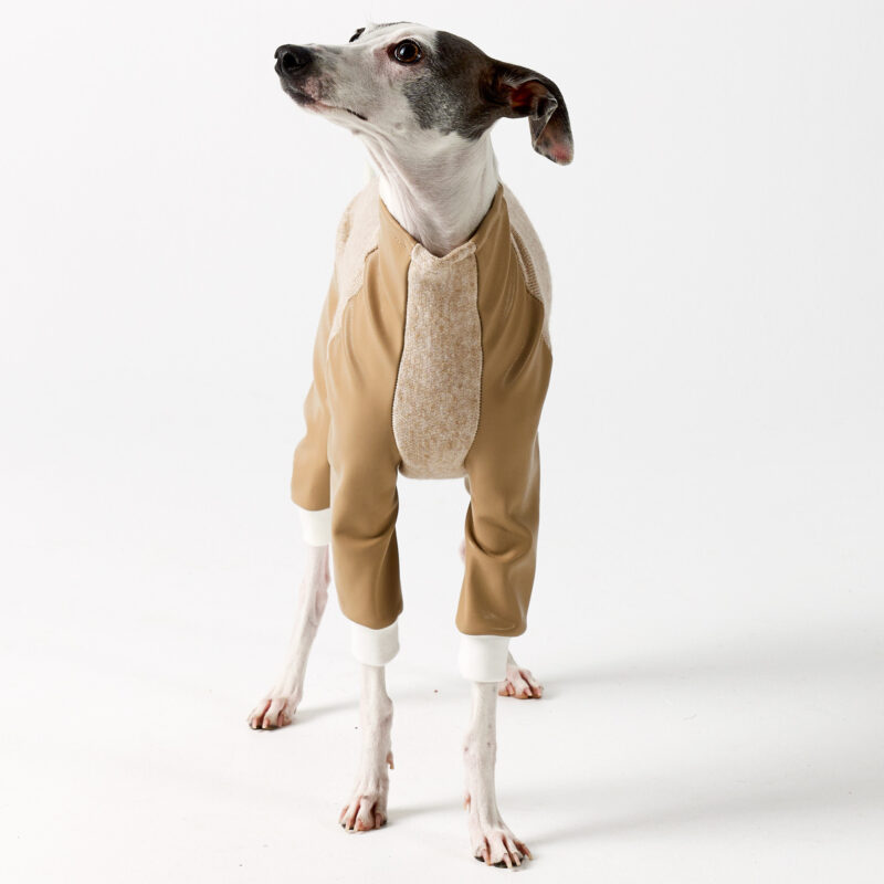 Italian Greyhound and Whippet Clothing - Faux Leather Full Suit