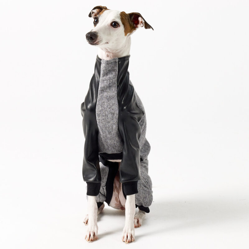 Italian Greyhound and Whippet Clothing - Faux Leather Full Suit