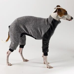 Italian Greyhound and Whippet Clothing - Faux Leather Full Suit