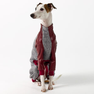 Italian Greyhound and Whippet Clothing - Faux Leather Full Suit