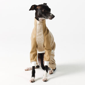 Italian Greyhound and Whippet Clothing - Faux Leather Full Suit