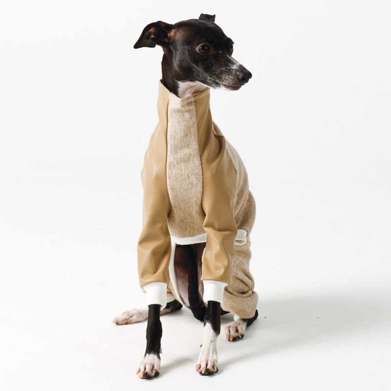 Italian Greyhound and Whippet Clothing - Faux Leather Full Suit