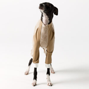 Italian Greyhound and Whippet Clothing - Faux Leather Full Suit