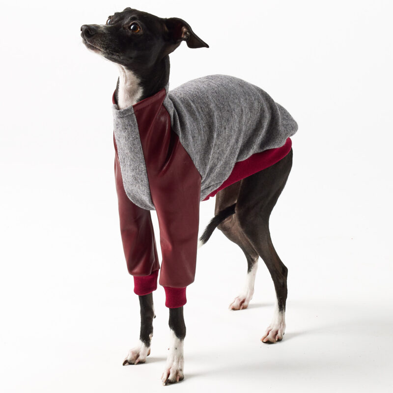 Italian Greyhound Clothing - Faux Leather Half Suit