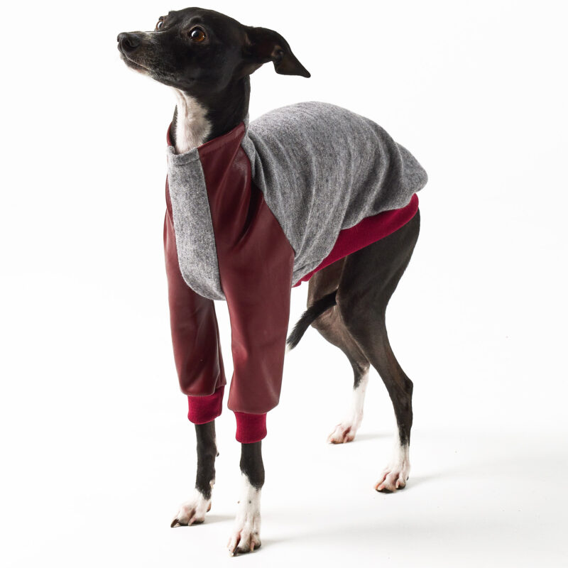 Italian Greyhound Clothing - Faux Leather Half Suit