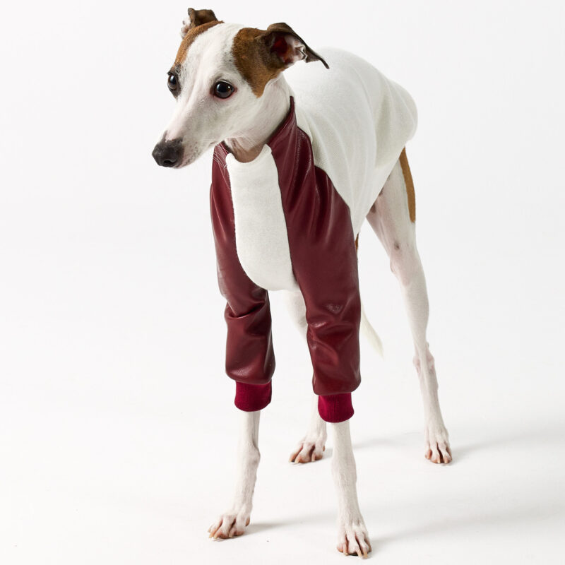 Italian Greyhound Clothing - Faux Leather Half Suit