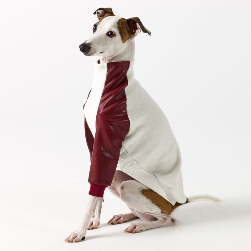 Italian Greyhound Clothing - Faux Leather Half Suit