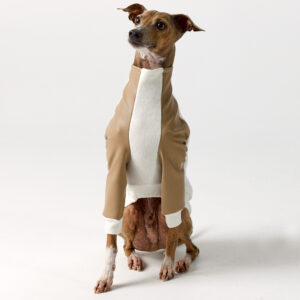 Italian Greyhound Clothing - Faux Leather Half Suit