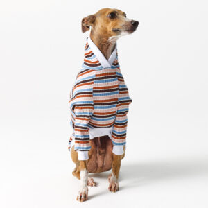 Hoodie for Italian Greyhound. Clothes for Whippet and Italian Greyhound.