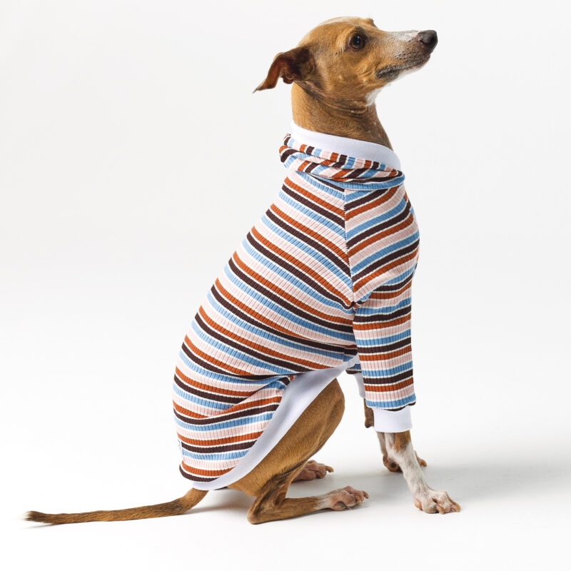 Hoodie for Italian Greyhound. Clothes for Whippet and Italian Greyhound.