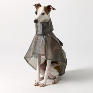 Rivoli Raincoat - Grey Roll Neck