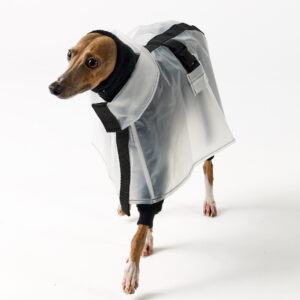 Italian Greyhound Clothing - Raincoat