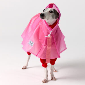 Pink Raincoat for Italian greyhound and Whippet