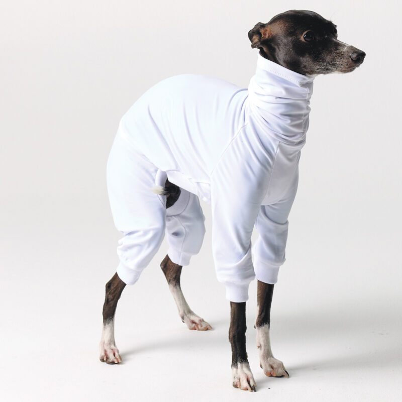 UV Suits for Italian Greyhound & Whippets | Royal Hound