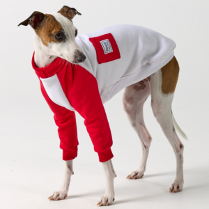 Italian Greyhound Clothing | Whippet Clothing