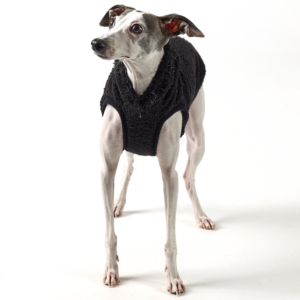 Teddy Vest Black - Hoodie Rib Trim | Royal Hound