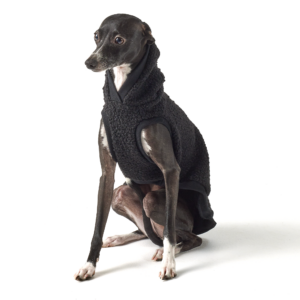 Teddy Vest Black - Hoodie Rib Trim | Royal Hound