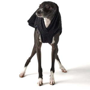 Teddy Vest Black Hoodie Rib Trim | Royal Hound