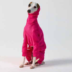 Italian Greyhound Clothing & Whippet Clothing
