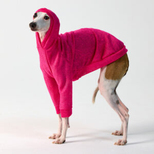 Italian Greyhound Clothing & Whippet Clothing