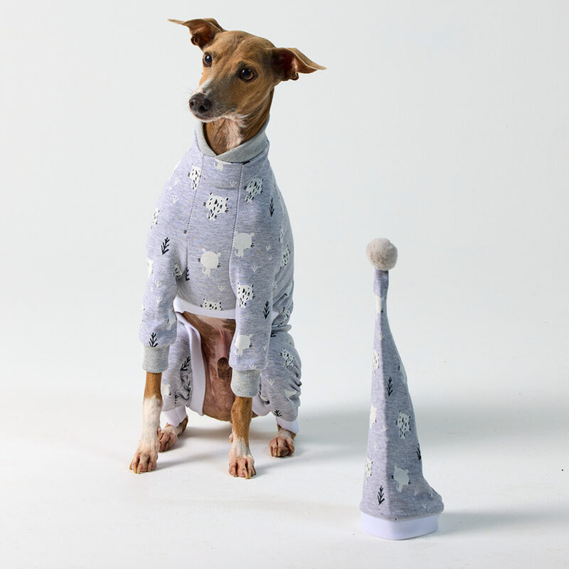 Italian Greyhound Clothing | Whippet Clothing
