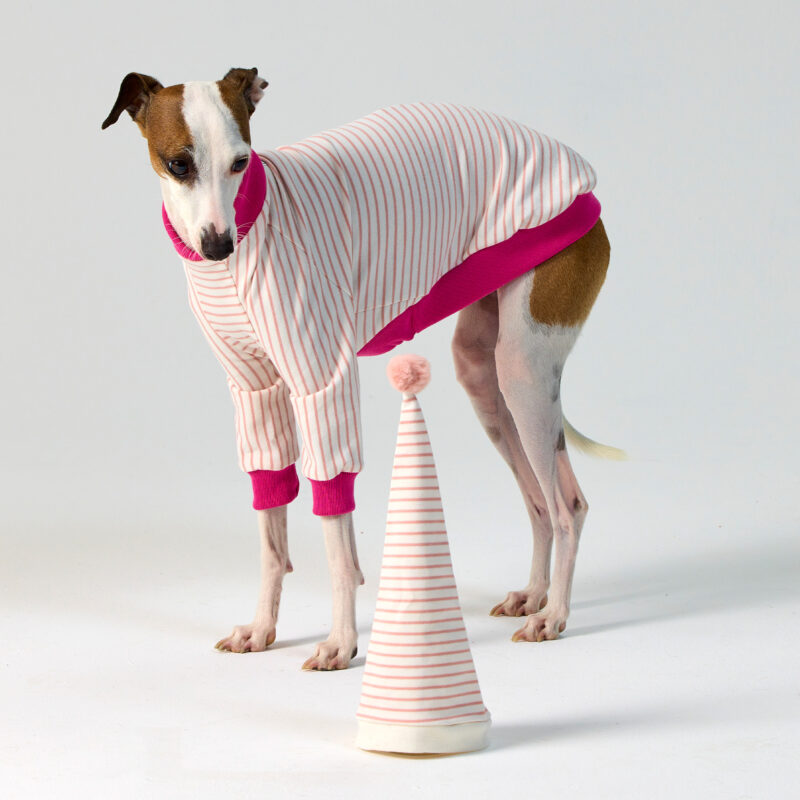 Malibu Pyjama, Italian Greyhound Clothing & Whippet Clothing