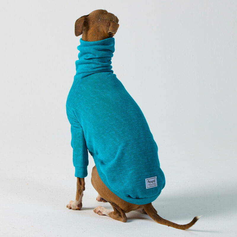 Italian Greyhound Clothing & Whippet Clothing