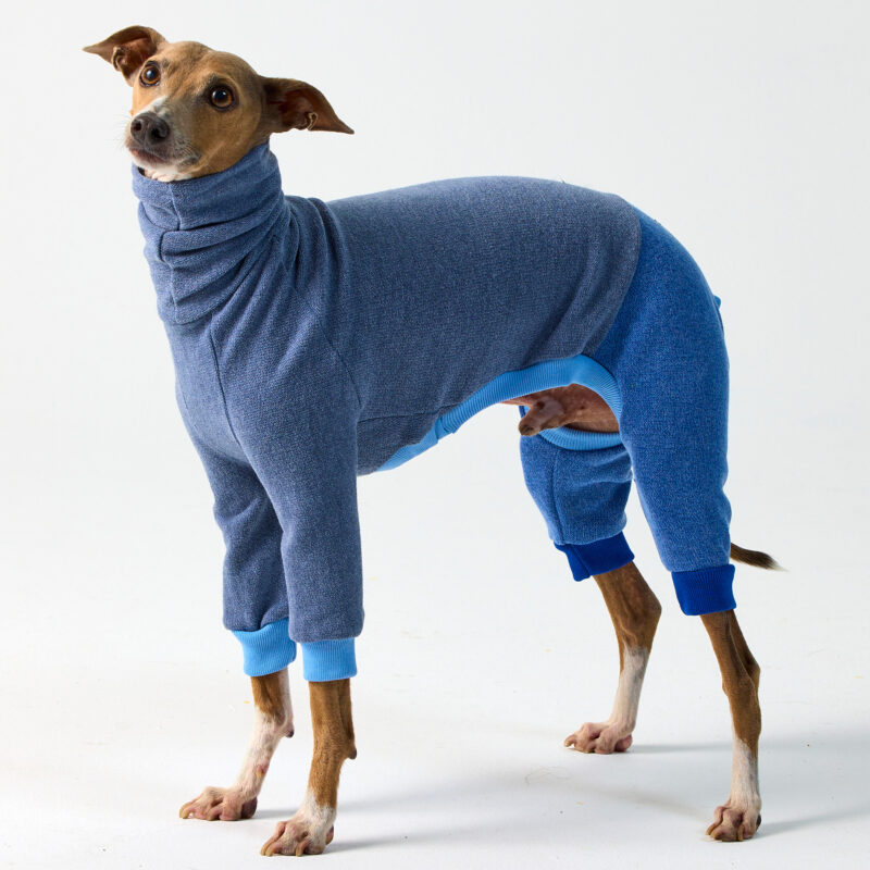 Italian Greyhound Clothing & Whippet Clothing | Royal Hound Melbourne