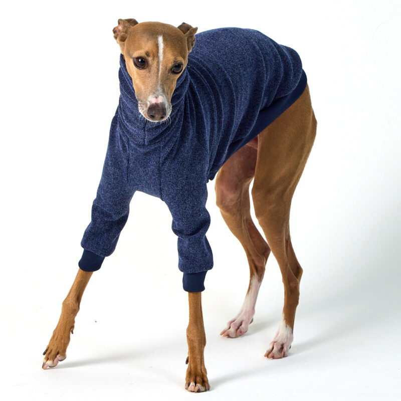 Italian Greyhound Clothing & Whippet Clothing | Royal Hound