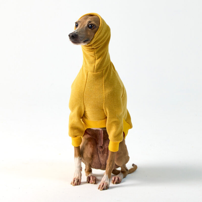 Italian Greyhound Clothing & Whippet Clothing | Royal Hound