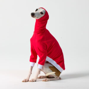 UV SPF50+ Red Italian Greyhound & Whippet Suits