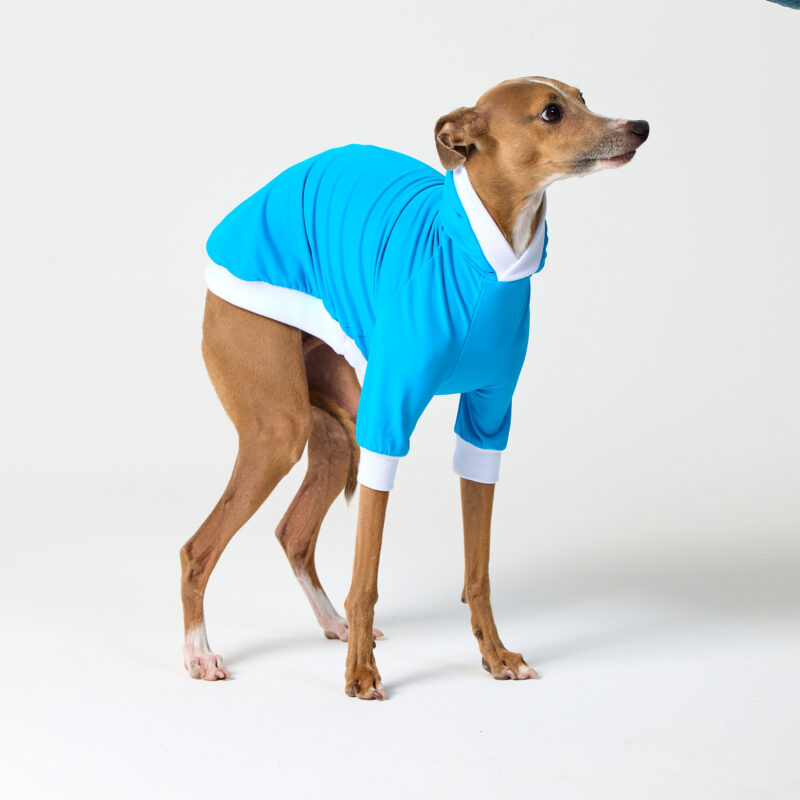 Italian Greyhound & Whippet Clothing | UV Suit
